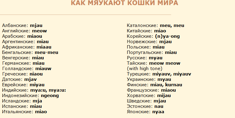 Самые красивые приветствия на разных языках. Слава на разных языках. Слова приветствия на разных языках. Черт на других языках. Черт на других языках.