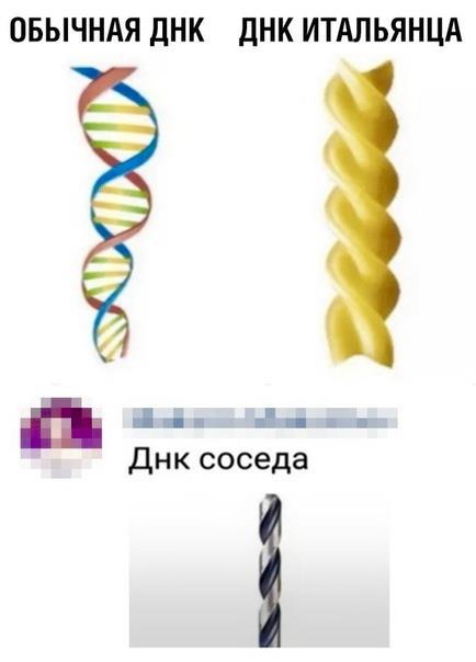 3f337916a0624730b66c330c3cd6e2e6.jpg