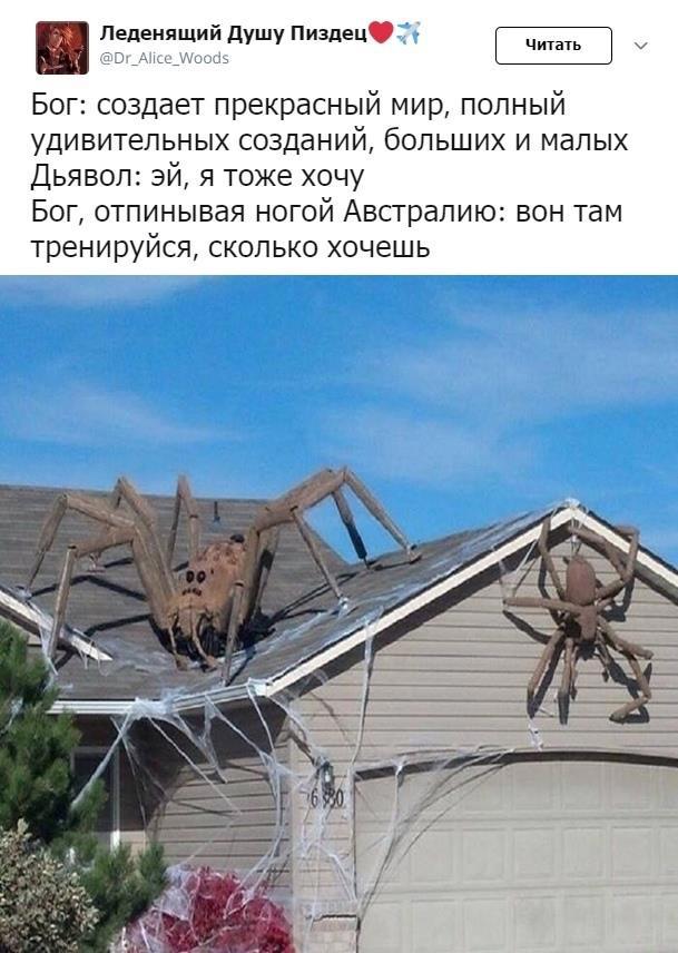 d04544b8b3c2408da41f2c4d08fbc21b.jpg