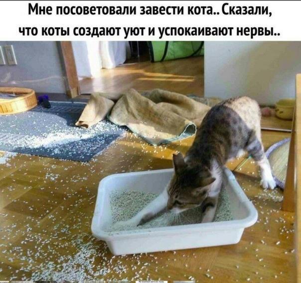 7a2ee54583df4c98b441d30f103532f1.jpg