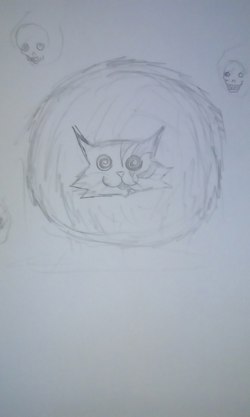 Кошачий Шар (вроде...