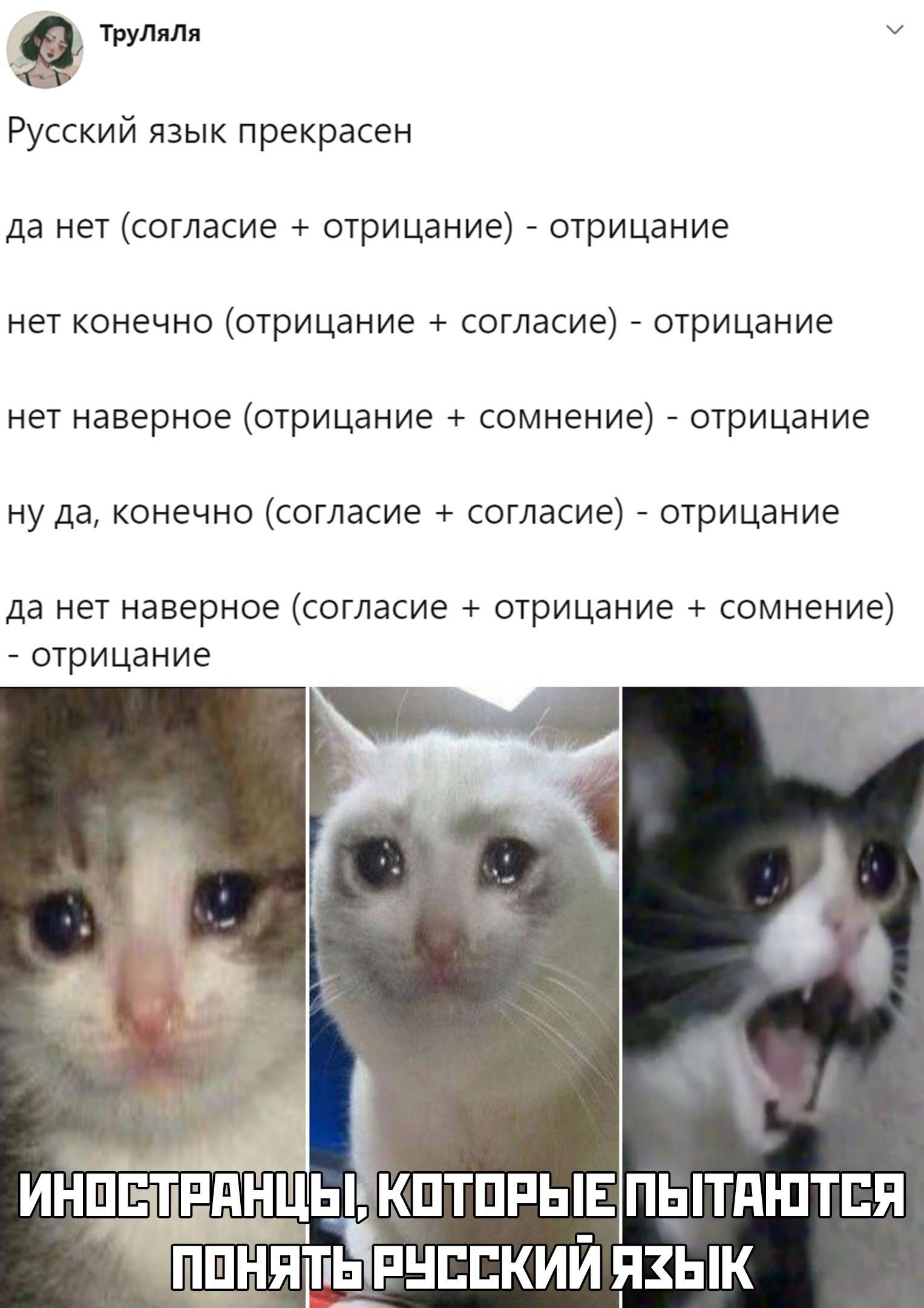 Нет слышишь нет не бери. Нет слышишь нет не бери