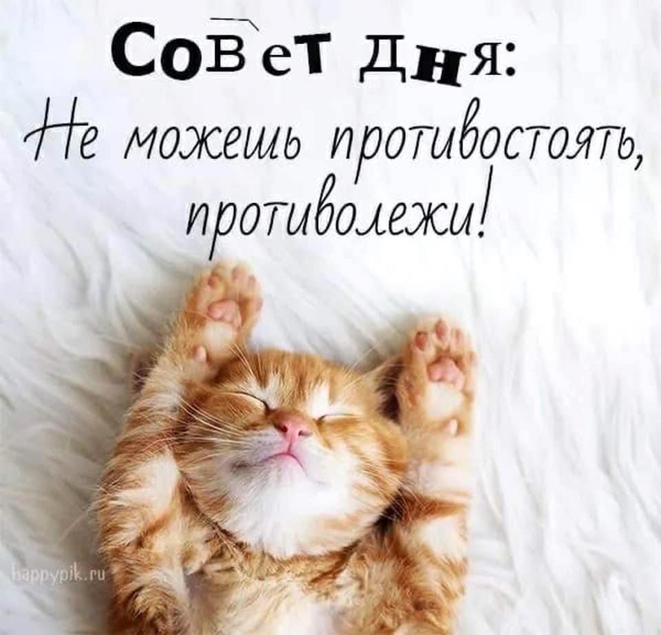 cba98ee44a8f4de48339eb86e1206d1b.jpg