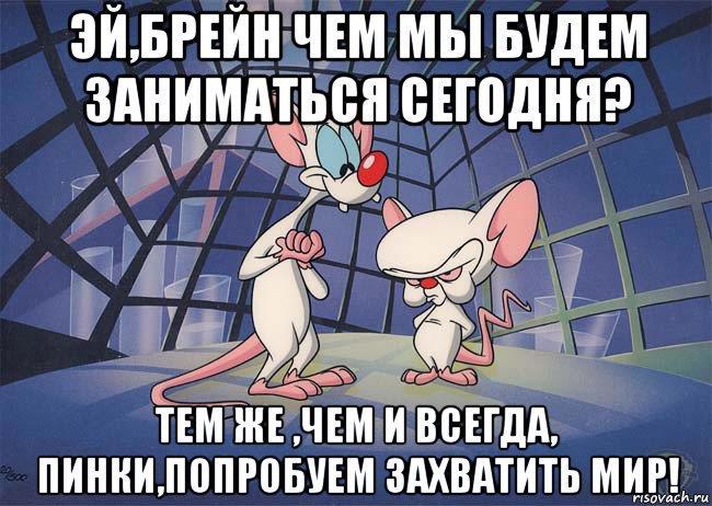 Пинки и брейн фото картинки
