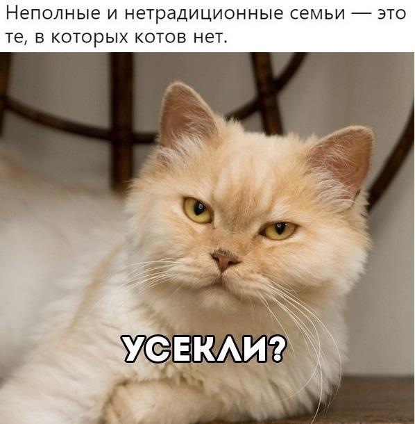 beb6d46db5014a40b9b66c2b5cfde6ff.jpg