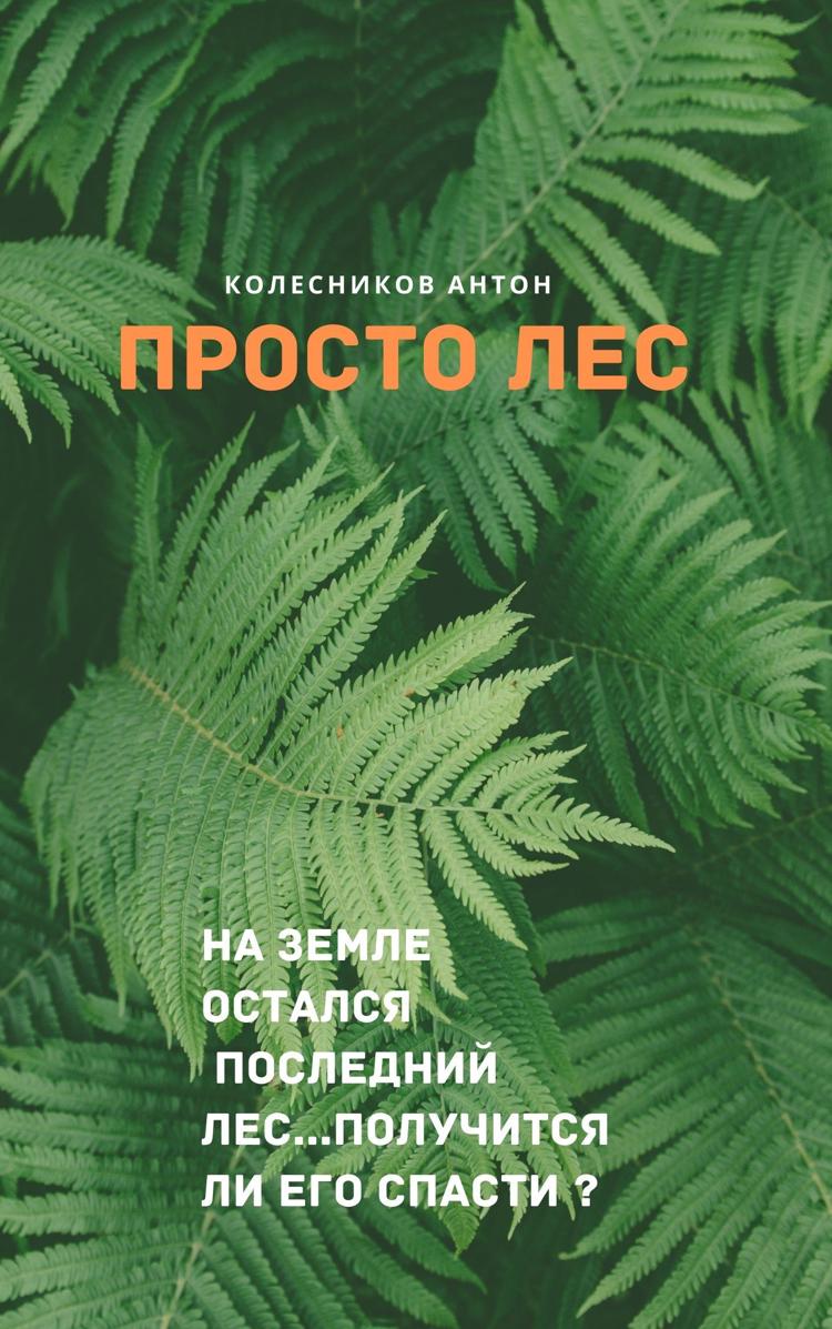 072716496d17490d99fcb760de8666c2.jpg?width=750&height=500&mode=min