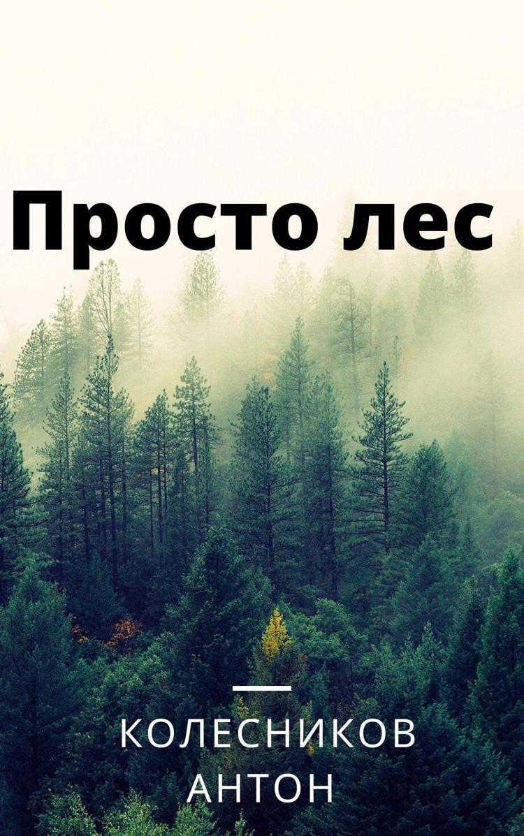 d6359e7539554ab9993fe9ffccb3f30d.jpg?width=750&height=500&mode=min