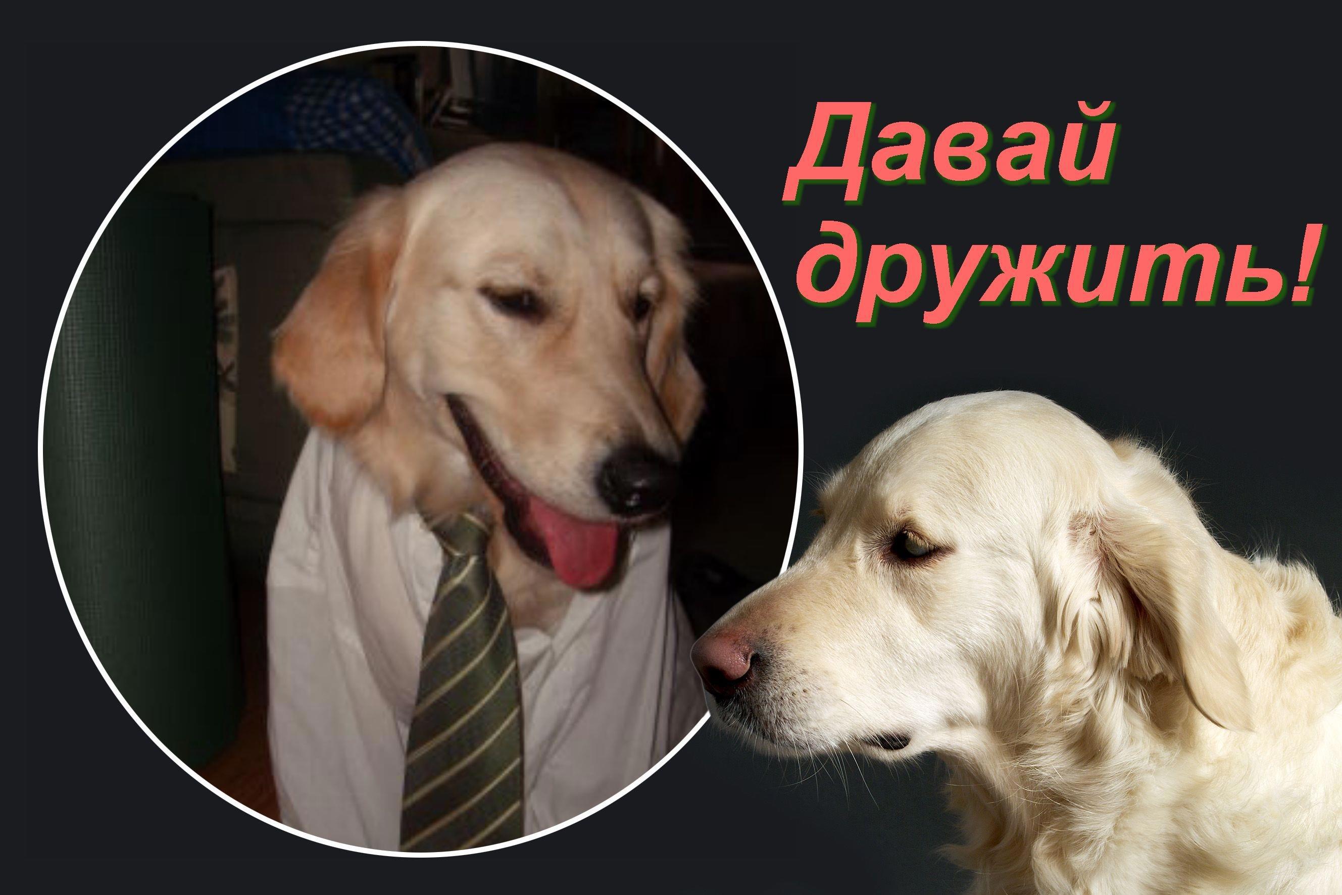 Давай Дружить Фото