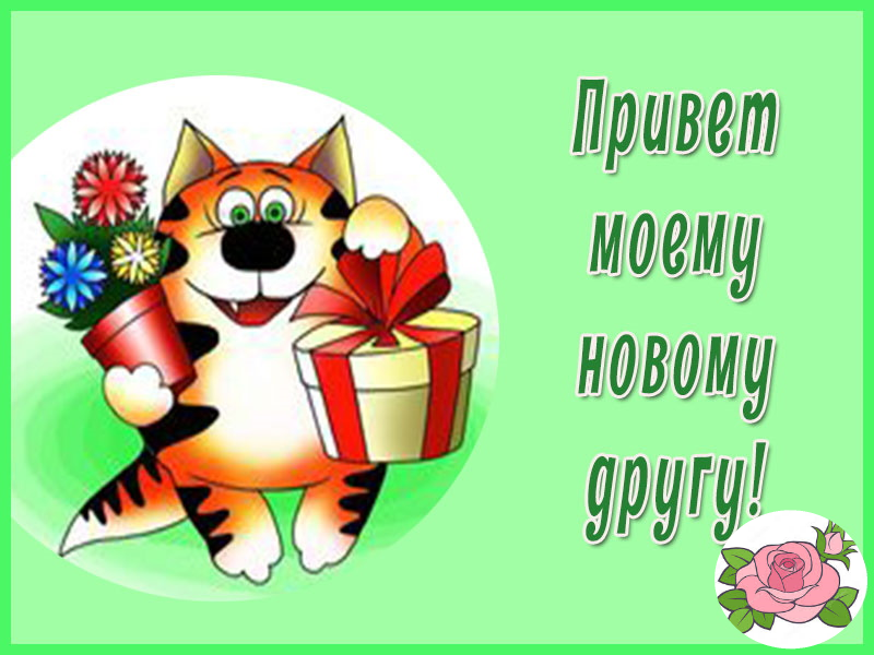 Привет дружище спешу сообщить что на тебя