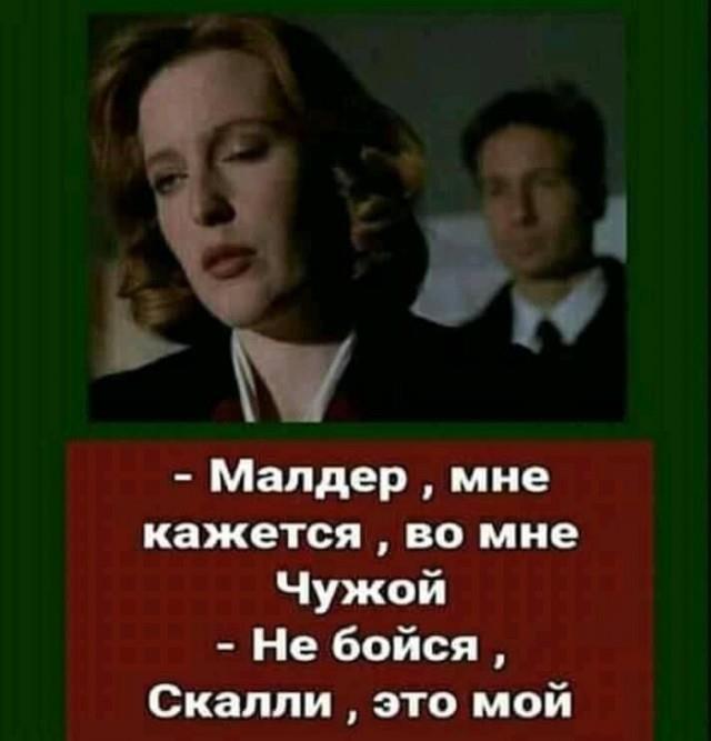 Дана Скалли и Эротика: истории из жизни, советы, новости и юмор — Все посты | Пикабу Дана Скалли и Эротика: истории из жизни, советы, новости и юмор — Все посты | Пикабу