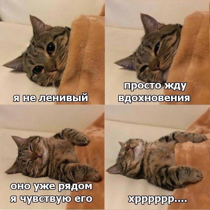 Мем с котом жду
