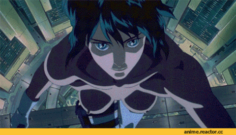 0a0fd3f360894f138da7986f34d1078a.gif