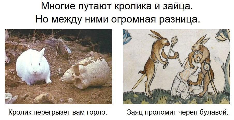 Девочка мальчик и кролик мем Заиньки на АТ / Александр Зайцев