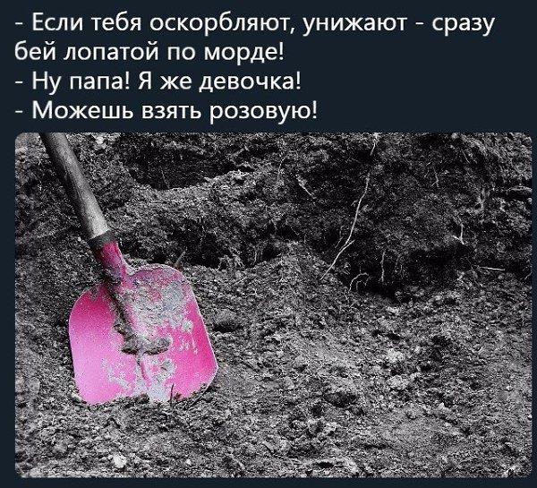 Меня оскорбили я ударил. Статья за публичное оскорбление. Оскорбление статья. Статья за оскорбление личности штраф. Обида на мужа.