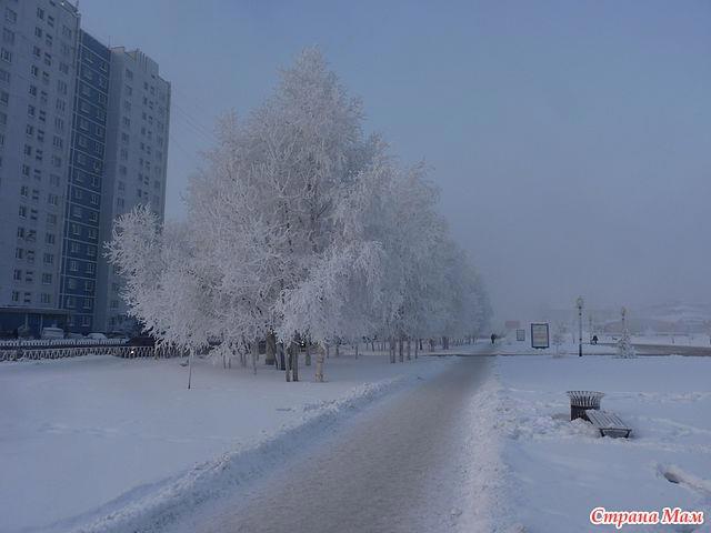 Pin by Lyudmila Kalinina on Любимый город Outdoor, Snow