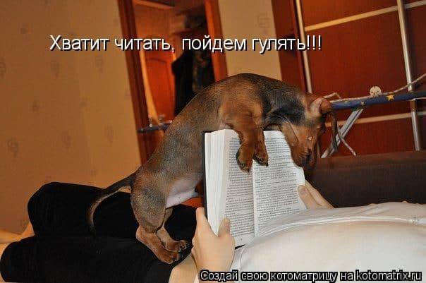 Мы только что гуляли