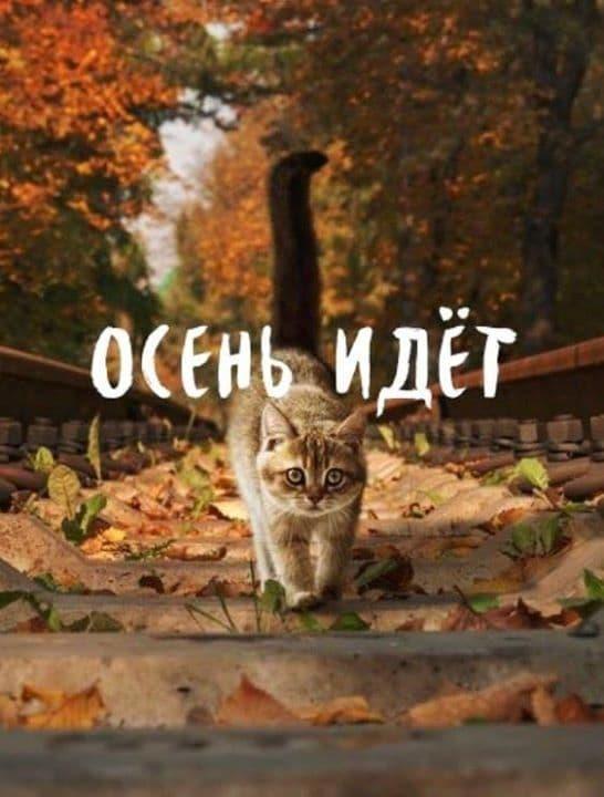 Сентябрь закончился картинки