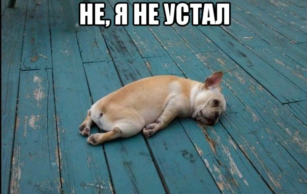 3ff467c46917486c9eeffed2fd7c704f.png