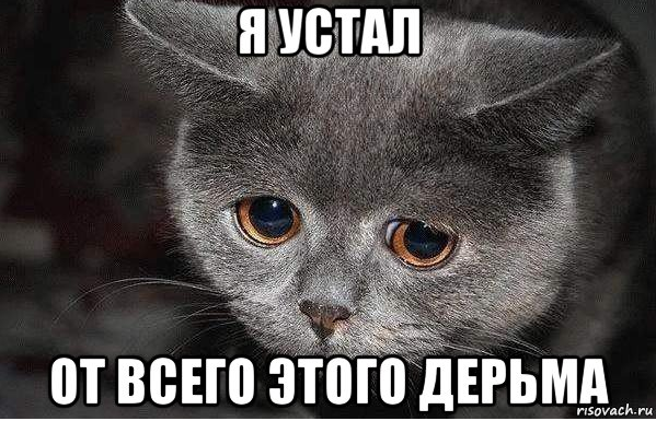 6cf16325c18645aaa9205c613e2af166.png