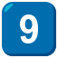 9⃣