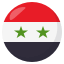 🇸🇾