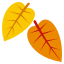 🍂