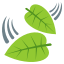 🍃