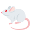 🐁