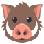 🐗
