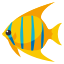 🐠