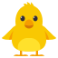 🐥