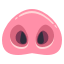 🐽