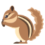 🐿