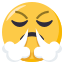 😤