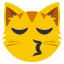 😽